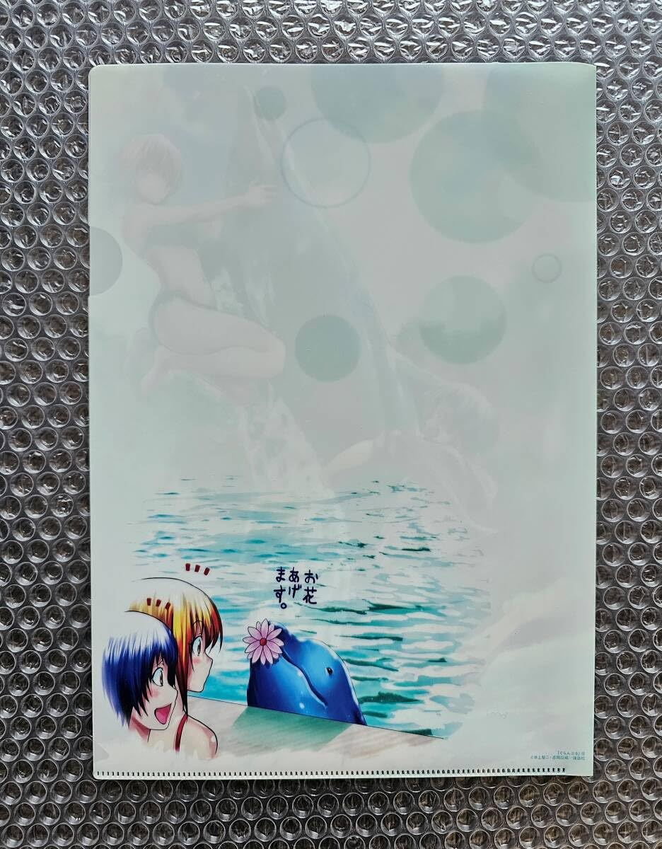 ぐらんぶる　既刊　全巻　イラストカード付き 新品未開封 シュリンク付き ぐらんぶる 14巻 メロンブックス特典